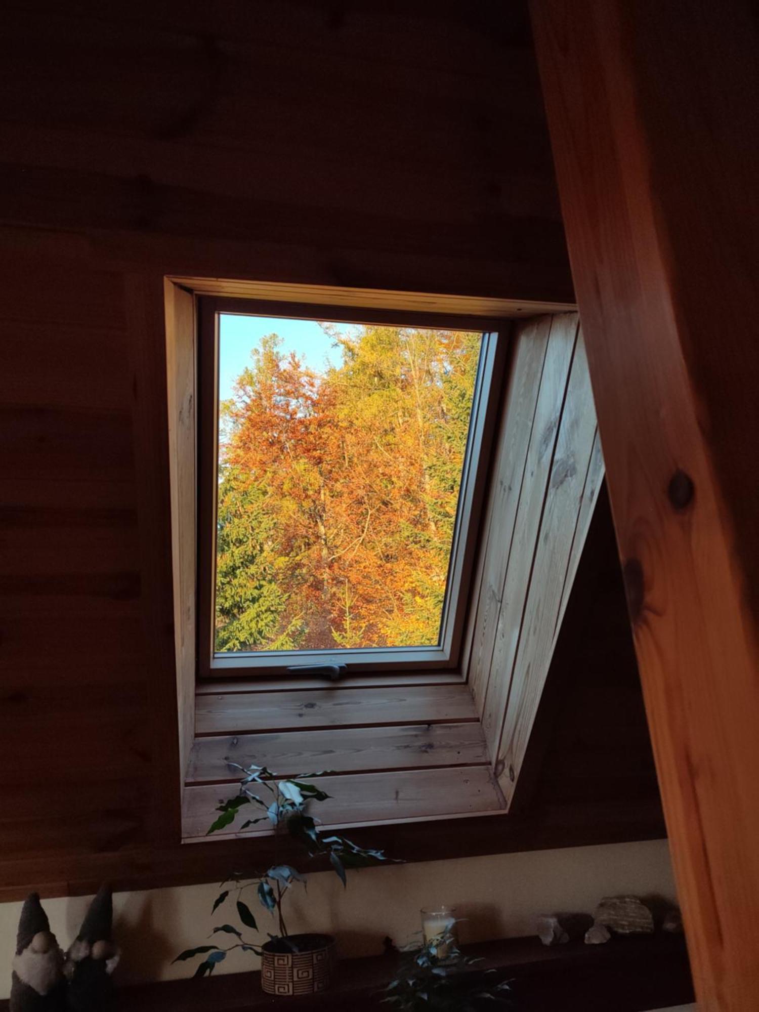 Ferienwohnung Wiking Schreiberhau Exterior foto